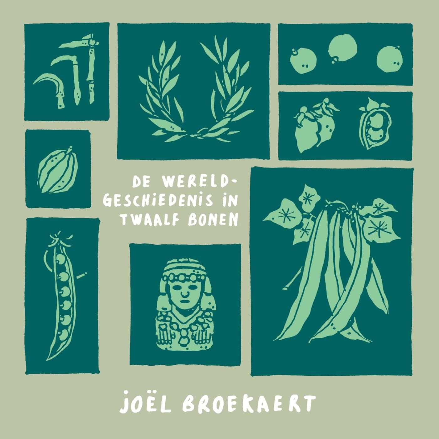 Cover of De wereldgeschiedenis in twaalf bonen