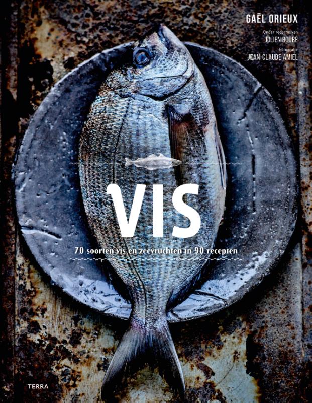 Cover of Vis