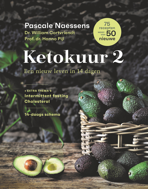 Cover of Ketokuur 2