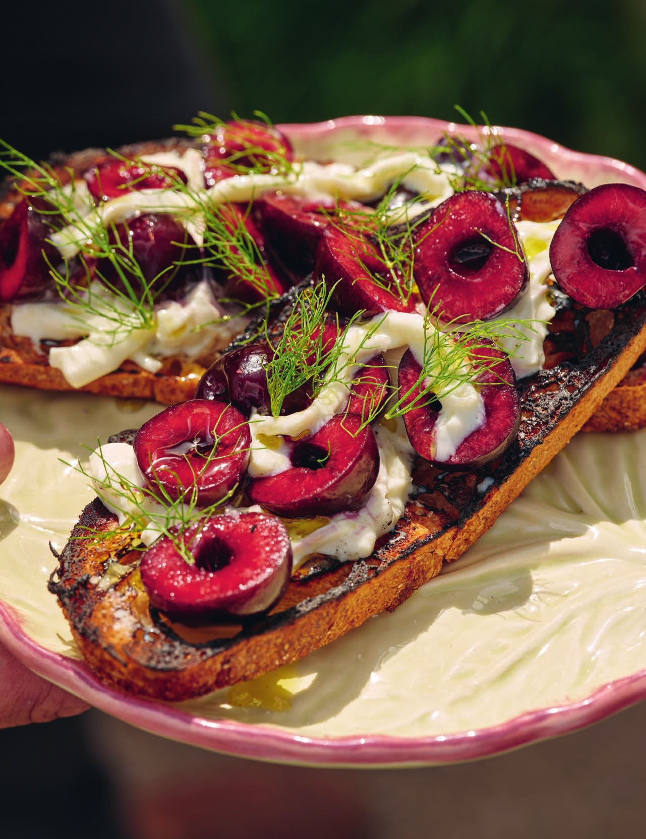 Toast with melted brie, cherries & greek basil